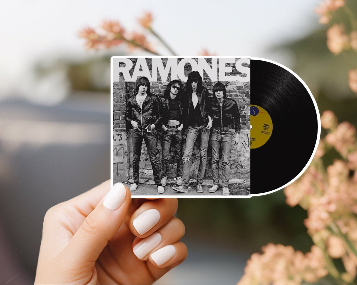 Ramones vinyl record sleeve sticker, vinyl stickers, water and weatherproof, dishwasher safe, funny stickers