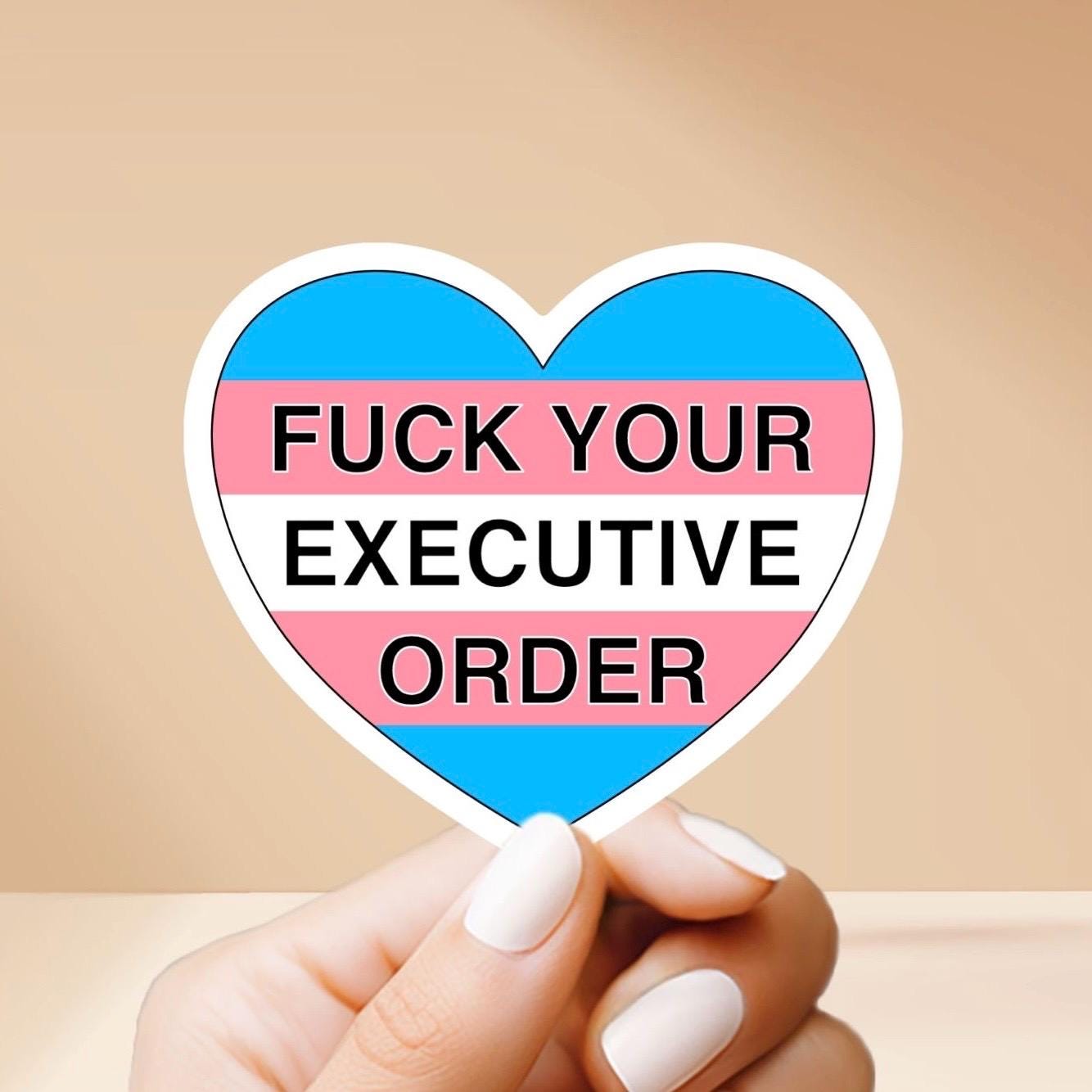 F*** Your Executive Order Heart Shaped Sticker | lgbtq+, diversity, equity, inclusion, social justice | high quality vinyl sticker